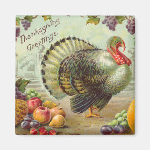 Thanksgiving Groetings Square Magnet Magneet