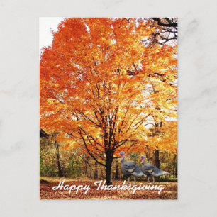 Thanksgiving Herfstboom met wilde kalkoen Feestdagenkaart