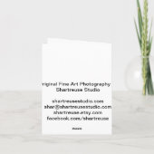 Thanksgiving-kaart Feestdagen Kaart (Achterkant)