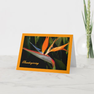 Thanksgiving Kaart met vogel van het paradijs