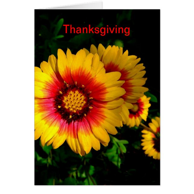 Thanksgiving Kaart, superieure, heldere bloemen (Voorkant)
