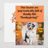 Thanksgiving Kaart voor Honden en Katten, (Voorkant / Achterkant)