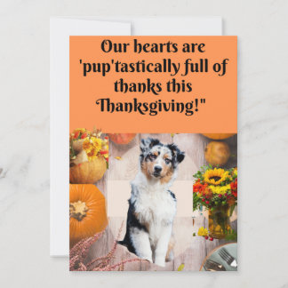 Thanksgiving Kaart voor Honden en Katten,