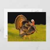 Thanksgiving kalkoen feestdagenkaart (Voorkant / Achterkant)