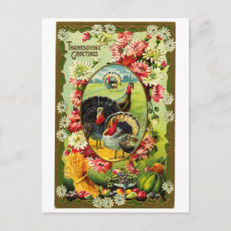 Thanksgiving Kalkoenen Briefkaart