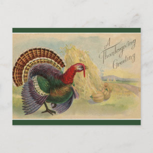 Thanksgiving kalkoenen en hooibergen Briefkaart