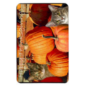 Thanksgiving katten en pompoenen magneet (Verticaal)
