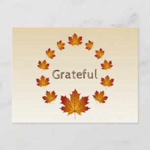 Thanksgiving Krans Dankbaar Eenvoudige Esdoorn Bla Briefkaart