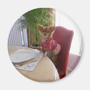 Thanksgiving met chi magnet magneet