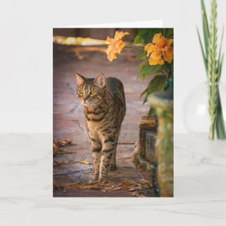 Thanksgiving met kat- en herfstbloemen feestdagen kaart