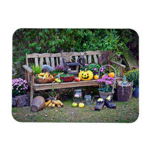 Thanksgiving op de Park Bench Magneet