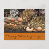Thanksgiving Oranje pompoen rustiek Briefkaart (Voorkant)