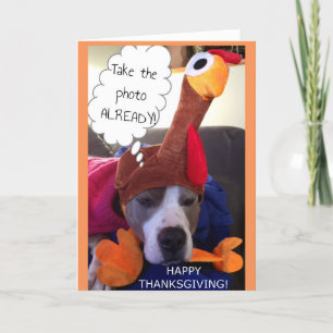 Thanksgiving - Pathetic Pittie Feestdagen Kaart