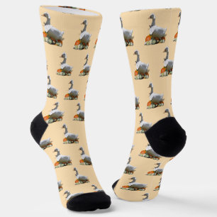 Thanksgiving Pilgrim Duck Sokken