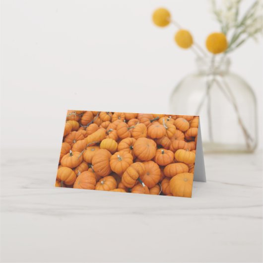 Thanksgiving pompoenen (Achterkant)