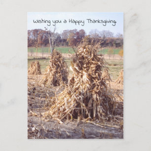 Thanksgiving Retro Autumn Cornstalk Harvest Feestdagenkaart