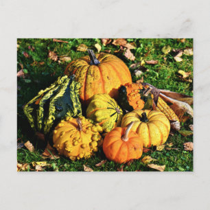 Thanksgiving Scene met pomkins-Corn-Gourds Feestdagenkaart