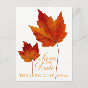 Thanksgiving Sla de datum van de Maple Leaf op Briefkaart