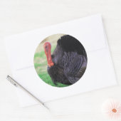 Thanksgiving Turkey Bird Ronde Sticker (Envelop)