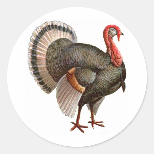 THANKSGIVING TURKEY RONDE STICKER (Voorkant)