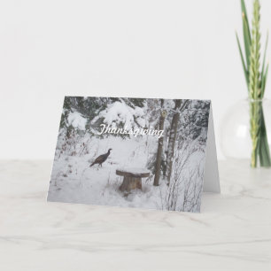 Thanksgiving Turkije Feestdagen Kaart