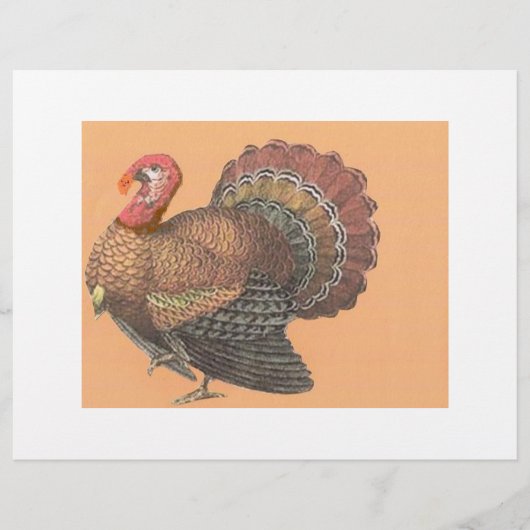 Thanksgiving Turkije Flyer (Voorkant)