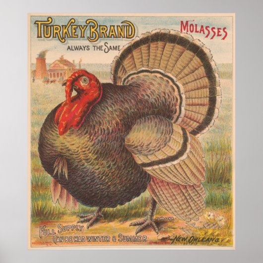  Thanksgiving Turkije Illustratie (1891) Poster (Voorkant)