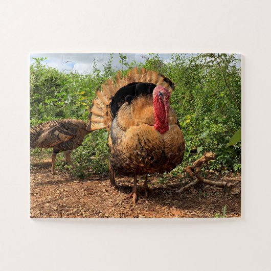 Thanksgiving Turkije Puzzle Legpuzzel (Horizontaal)