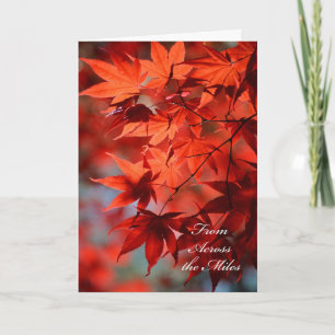 Thanksgiving van over de mijl feestdagen kaart