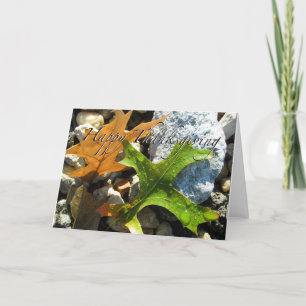 Thanksgiving Wenskaart Feestdagen Kaart