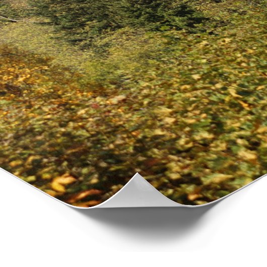 Thann in Autumn, Alsace, Frankrijk Poster (Hoek)