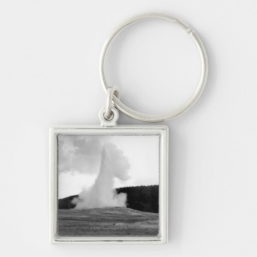 THC0024311 SLEUTELHANGER (Voorkant)
