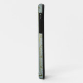The Allegory of Chastity (fresco) Case-Mate iPhone Case (Achterkant/links)