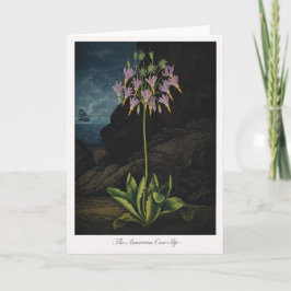 The American Cow-Slip — Modern Botanical Reinterpr Kaart