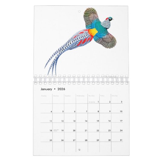 The Animal Artwork of Carolyn McFann Calendar Kalender (Jan 2026)