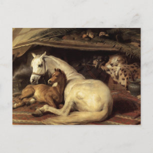 The Arab Tent Edwin Landseer Briefkaart