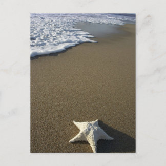 The Beach Post Card Briefkaart