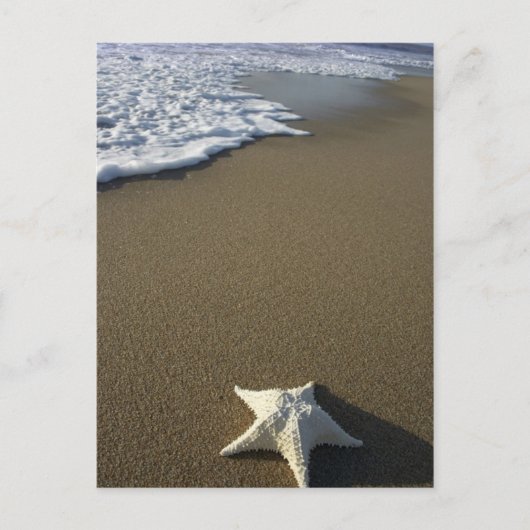 The Beach Post Card Briefkaart (Voorkant)