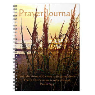 The Beach Sunset Wild Grass Prayer Journal Notitieboek