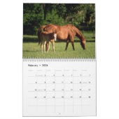 The Beauty of Horses 2011 Flip Kalender (Feb 2026)