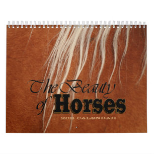 The Beauty of Horses 2011 Flip Kalender