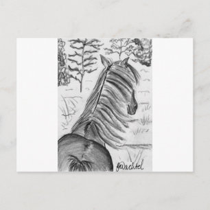 The Beauty of Horses No.1 Briefkaart