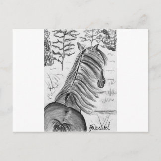 The Beauty of Horses No.1 Briefkaart