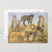 The Big Cats Briefkaart (Voorkant / Achterkant)