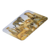 The Big Cats Magneet (Linkerzijde)