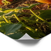 The Big One Poster (Hoek)