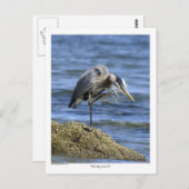 "The Big Scratch" bericht Kaarten (Voorkant / Achterkant)