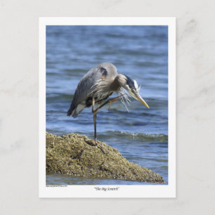 "The Big Scratch" bericht Kaarten