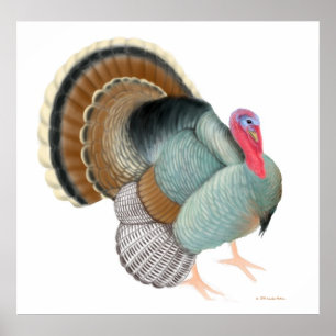 The Big Turkey Print