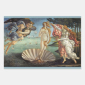 The Birth of Venus by Sandro Botticelli Inpakpapier Vel (Voorkant 2)